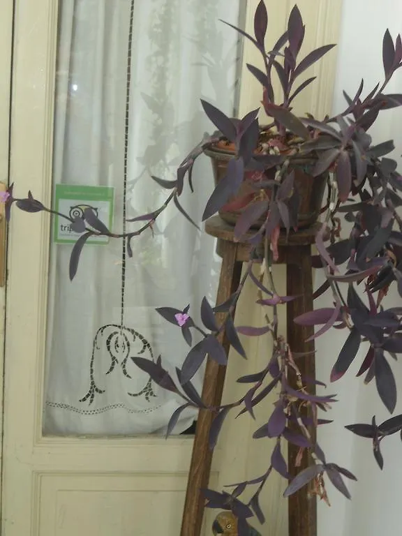 Bed and Breakfast Rosella Bianchi Palermo